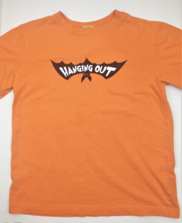 Hanging Out Bat Halloween T-Shirt Pic