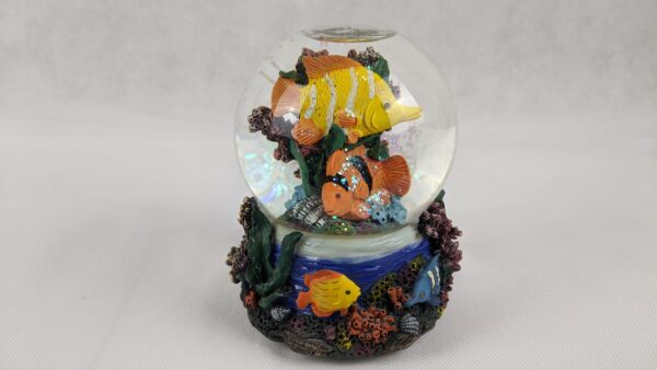 Factory Card Outlet Fish Globe